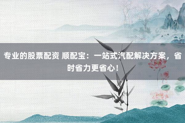 专业的股票配资 顺配宝：一站式汽配解决方案，省时省力更省心！