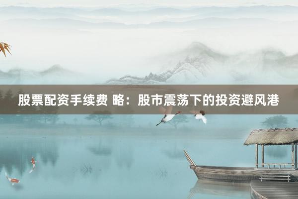 股票配资手续费 略：股市震荡下的投资避风港