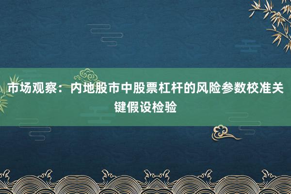 市场观察：内地股市中股票杠杆的风险参数校准关键假设检验