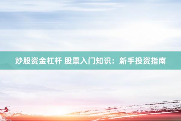 炒股资金杠杆 股票入门知识：新手投资指南