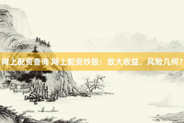 网上配资查询 网上配资炒股：放大收益，风险几何？