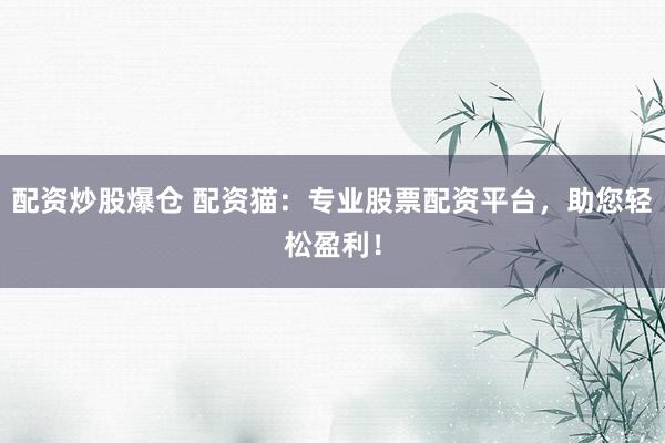配资炒股爆仓 配资猫：专业股票配资平台，助您轻松盈利！