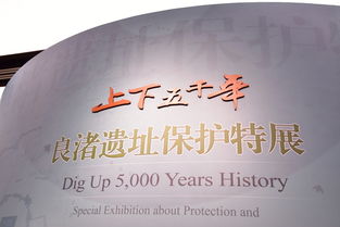 邂逅良渚文明,感受文化传承与发展 建筑与设计学院古风遗韵传承传统文化社会实践服务团赴杭州开展 知中华文化魂,识传统韵味情 之访良渚社会实践活动